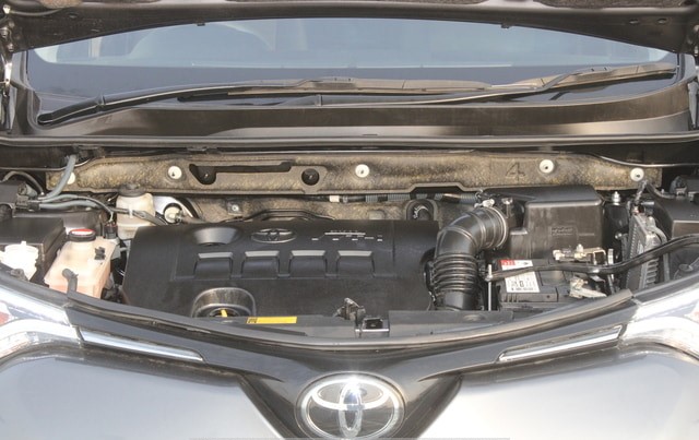 Main Image