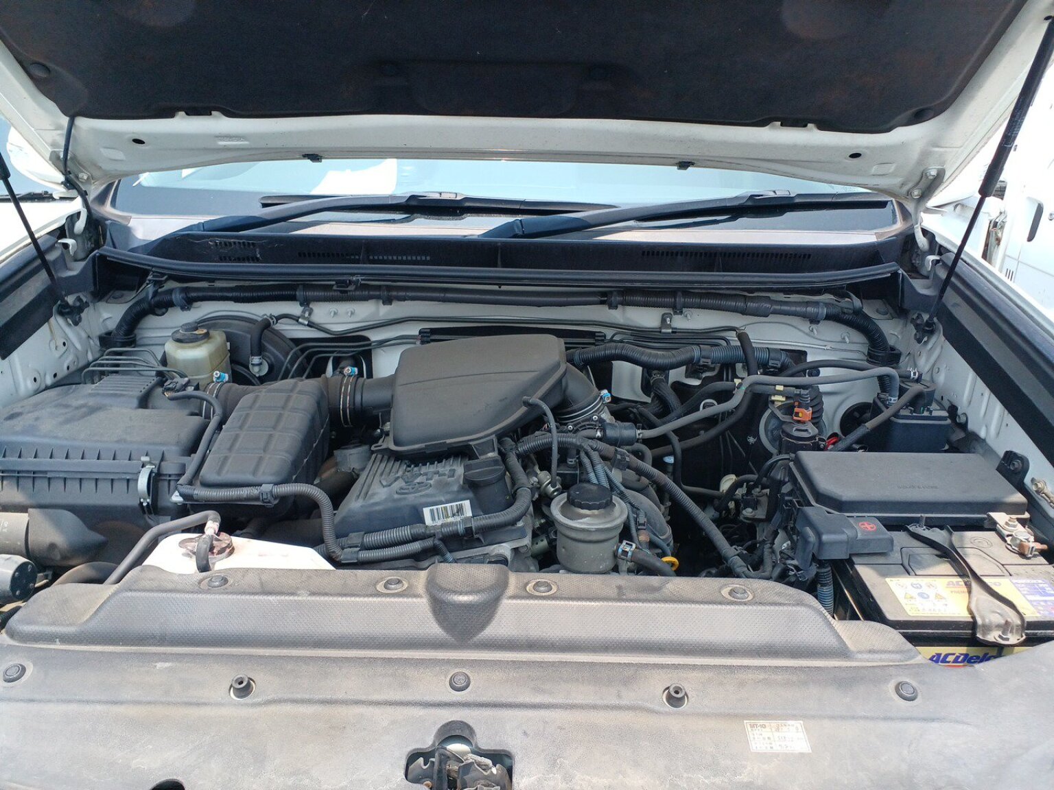 Main Image